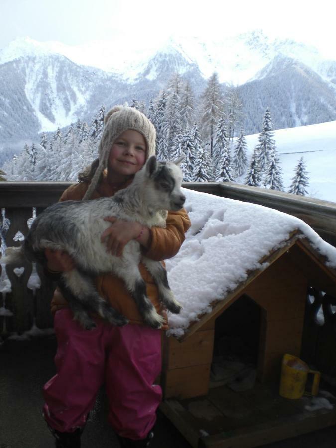 Chalet Niederhaushof Ultimo Kültér fotó