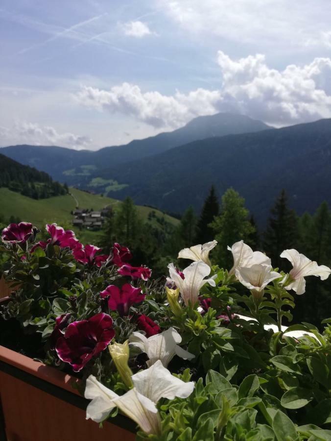 Chalet Niederhaushof Ultimo Kültér fotó